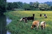 Farming and food